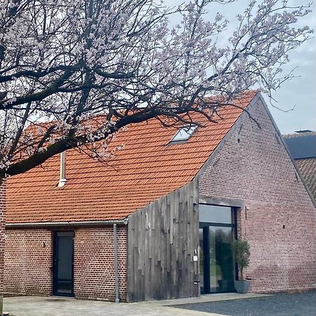 Hoeve De Kleinheide 德塞尔 外观 照片