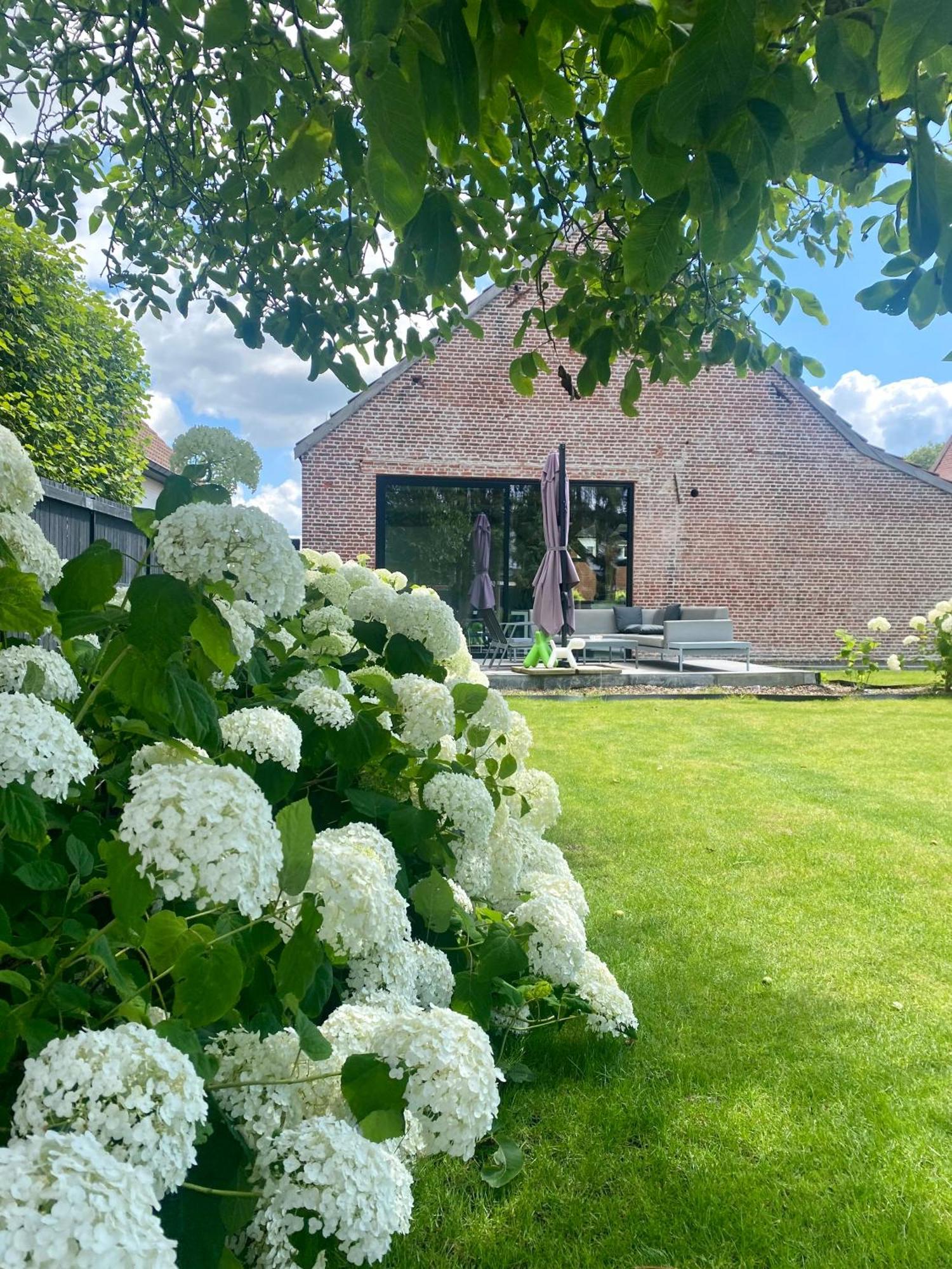 Hoeve De Kleinheide 德塞尔 外观 照片