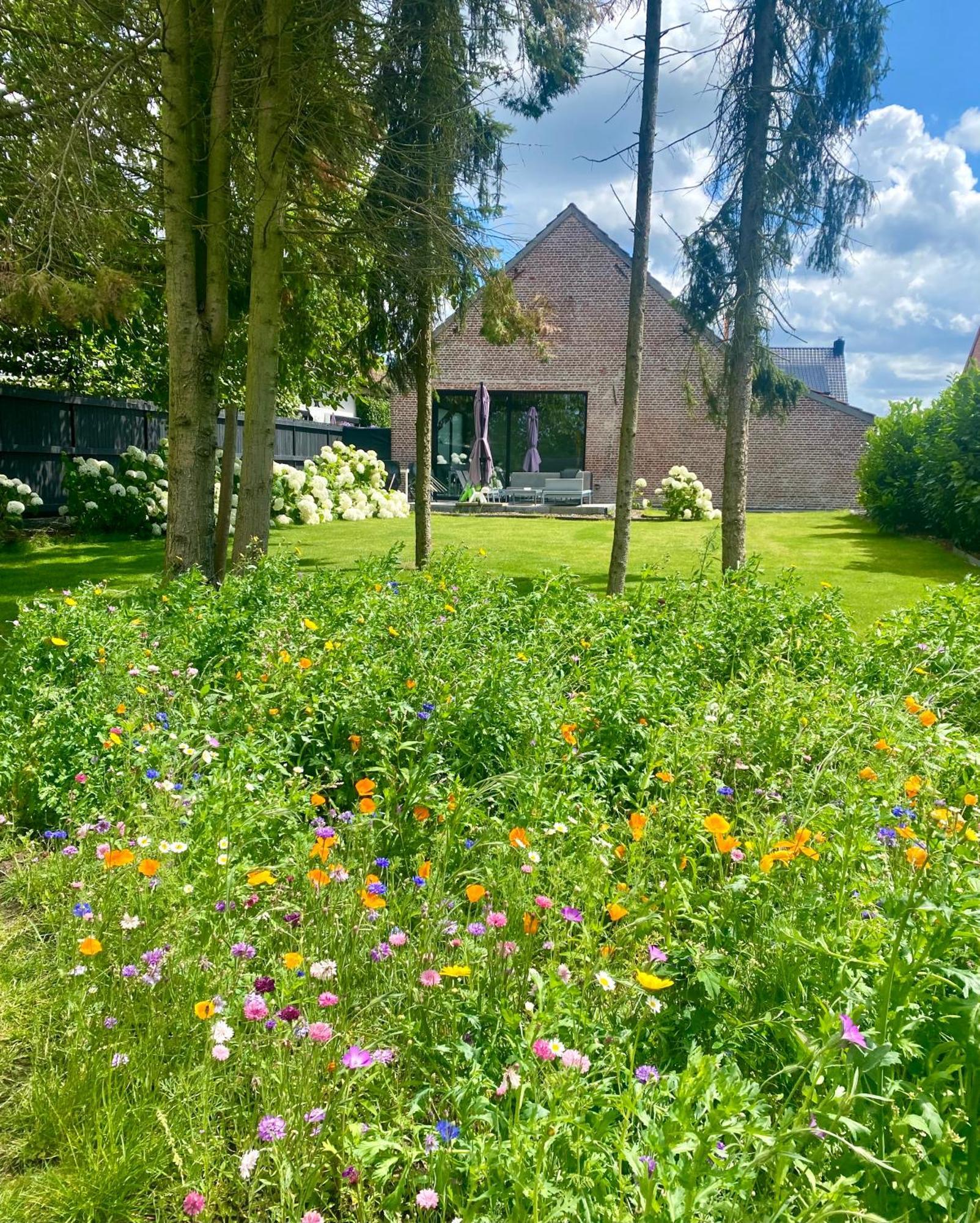 Hoeve De Kleinheide 德塞尔 外观 照片