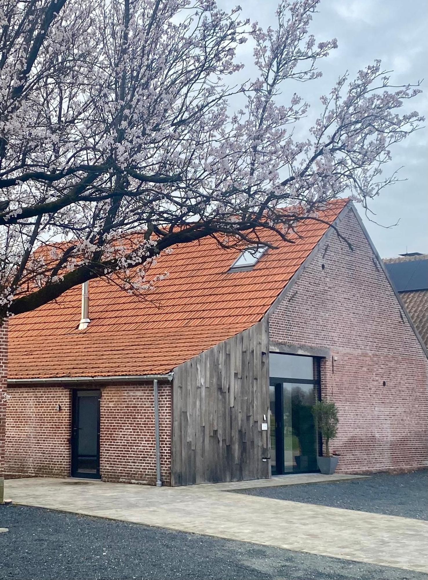 Hoeve De Kleinheide 德塞尔 外观 照片